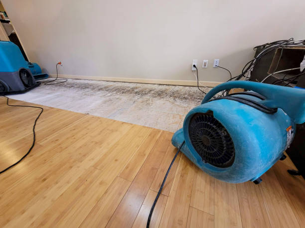 Professional Burst Pipe Water Damage technician working in Colbert, WA